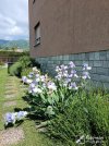 IMG_20250511_102958.jpg