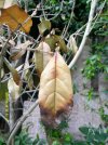 DSCF0002.JPG