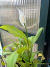 IMG_9093.jpeg