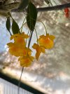 IMG_9087.jpeg