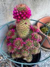 IMG_9094.jpeg