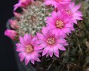 DSC_2672.JPG