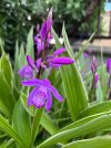 IMG_9115.jpeg