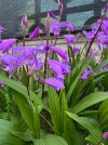 IMG_9113.jpeg