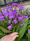 IMG_9112.jpeg