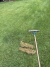 IMG_1138.jpeg