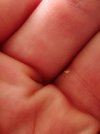 IMG_20250604_141014.jpg