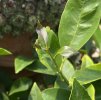IMG_8532.jpeg