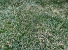 IMG_4249.jpeg