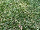 IMG_4250.jpeg