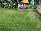 IMG_4248.jpeg
