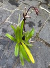 IMG_9195.jpeg