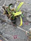 IMG_9194.jpeg