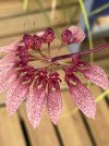 IMG_9192.jpeg