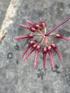 IMG_9191.jpeg