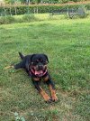 IMG_9250.jpeg