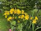 IMG_9244.jpeg