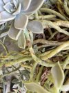 IMG_0103-min.jpeg