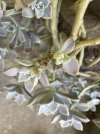 IMG_0101-min.jpeg