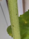 B_800600.jpg B_800600.jpg