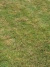 20250703_110853.jpg