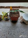IMG_20250705_164443.jpg