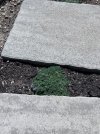 IMG_9193.jpeg