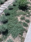 IMG_9194.jpeg