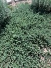 IMG_9195.jpeg