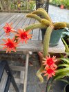 IMG_9347.jpeg
