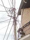 IMG_20250530_115951_01.JPG