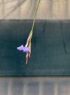 IMG_9363.jpeg