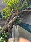 IMG_9378.jpeg