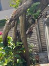 IMG_9377.jpeg