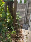 IMG_9376.jpeg