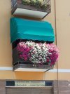 Balcone-fiorito.jpg