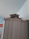 20250715_143321.png