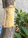 IMG_9423.jpeg