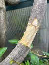 IMG_9420.jpeg