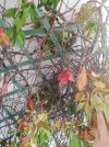 IMG_20250718_173721.jpg