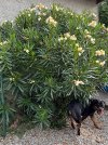 IMG_9430.jpeg