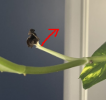 1753267502412.png