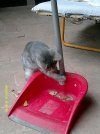 DSCF0012.JPG