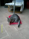 DSCF0007.JPG