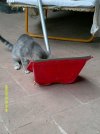 DSCF0009.JPG