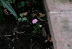 DSCF0029.JPG