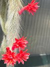 IMG_9474.jpeg
