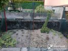 IMG_20250730_200625.jpg