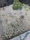 IMG_20250730_200701.jpg