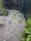 IMG_20250730_200709.jpg